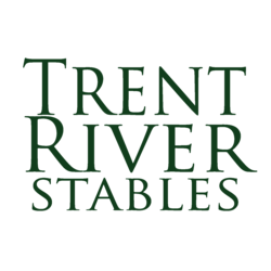 TrentRiverStables Thumbnail